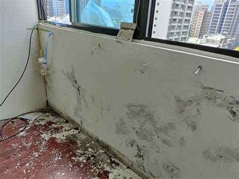 住在 壁癌的房子|住家壁癌、漏水怎麼辦？避免黴菌、濕氣害人慢性發炎，專家建議。